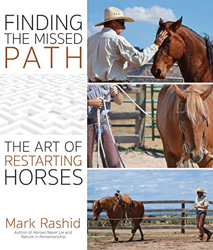 Finding the Missed Path: The Art of Restarting Horses Finding the Missed Path: The Art of Restarting Horses