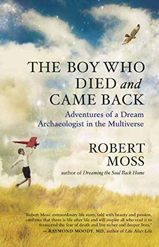 Boy Who Died and Came Back: Adventures of a Dream