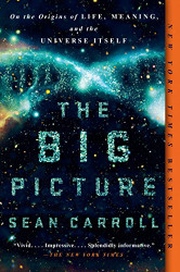 Big Picture: On the Origins of Life Meaning and the Universe Itself