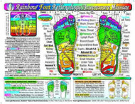 Rainbow FOOT Reflexology/ Acupressure Massage Chart by Inner Light Resources