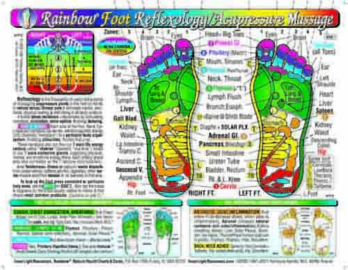 Rainbow FOOT Reflexology/ Acupressure Massage Chart by Inner Light Resources