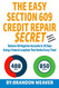 Easy Section 609 Credit Repair Secret