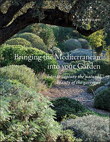 Bringing the Mediterranean into Your Garden