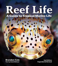 Reef Life: A Guide to Tropical Marine Life