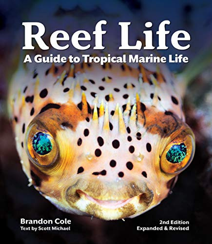 Reef Life: A Guide to Tropical Marine Life