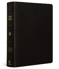 ESV Single Column Journaling Bible Large Print