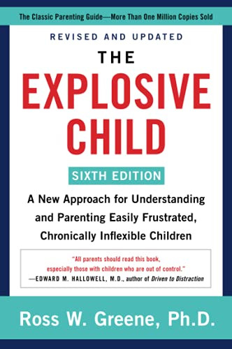 Explosive Child