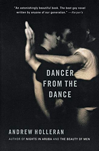 Dancer from the Dance: A Novel