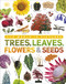 Trees Leaves Flowers and Seeds: A visual encyclopedia of the plant kingdom