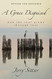Grace Disguised Revised and Expanded: How the Soul Grows through Loss
