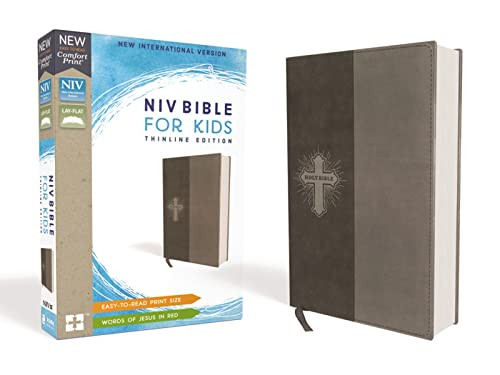 NIV Bible for Kids Leathersoft Gray Red Letter Comfort Print