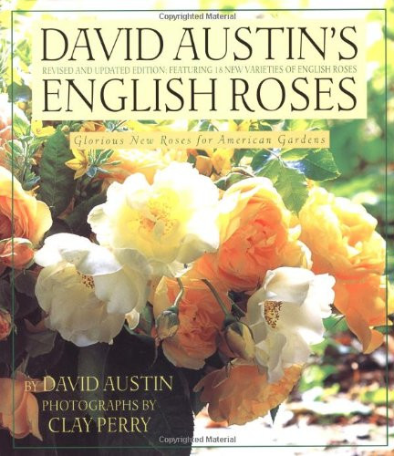 David Austin's English Roses: Glorious New Roses for American Gardens