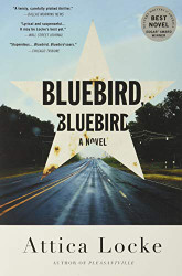 Bluebird Bluebird (A Highway 59 Novel 1)