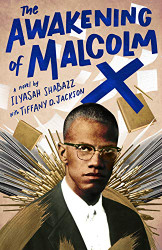 Awakening of Malcolm X: A Novel