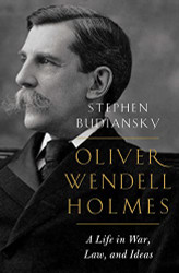 Oliver Wendell Holmes: A Life in War Law and Ideas
