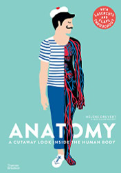 Anatomy