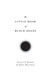 Little Book of Black Holes (Science Essentials 29)