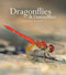 Dragonflies and Damselflies: A Natural History