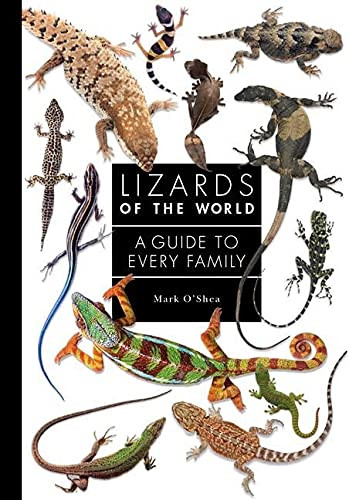 Lizards of the World: A Guide to Every Family