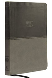 KJV Value Thinline Bible Large Print Leathersoft Gray Red