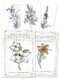 Hedgewitch Botanical Oracle