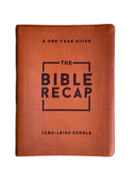 Bible Recap: A One-Year Guide to Reading and Understanding the Entire Bible
