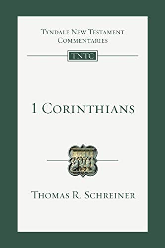 1 Corinthians: An Introduction and Commentary Vol. 7