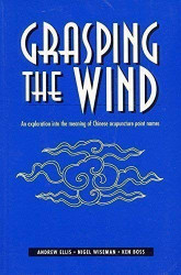 Grasping the Wind: An Exploration Into the Meaning of Chinese
