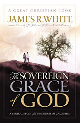 Sovereign Grace of God: A Biblical Study of the Doctrines of Calvinism