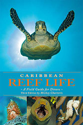Caribbean Reef Life