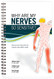 Why Are My Nerves So Sensitive? - Neuroscience Education for