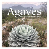 Agaves: Species Cultivars & Hybrids