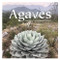 Agaves: Species Cultivars & Hybrids
