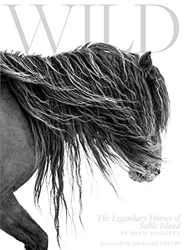 Wild: The Legendary Horses of Sable Island