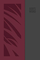 GOD'S WORD Translation Deluxe Wide-Margin Bible