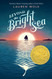 Beyond the Bright Sea