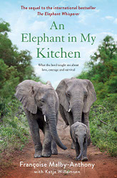 Elephant in My Kitchen: What the Herd Taught Me About Love
