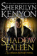 Shadow Fallen: A Dream-Hunter Novel