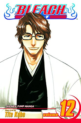 Bleach Vol. 12