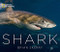 Shark Shark