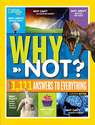 National Geographic Kids Why Not?: Over 1111 Answers to Everything