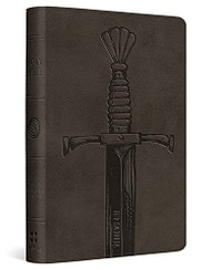 ESV Compact Bible (TruTone Silver Sword Design)