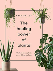 Healing Power of Plants: The Hero Houseplants That Will Love You Back