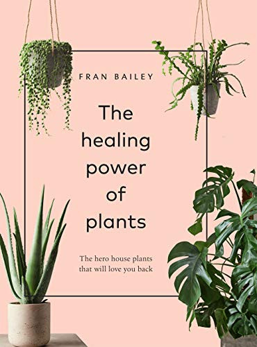 Healing Power of Plants: The Hero Houseplants That Will Love You Back