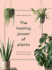 Healing Power of Plants: The Hero Houseplants That Will Love You Back