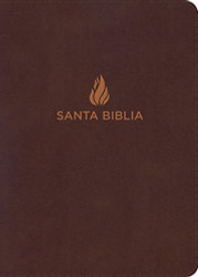 Biblia Reina Valera 1960 Tamano manual Letra grande
