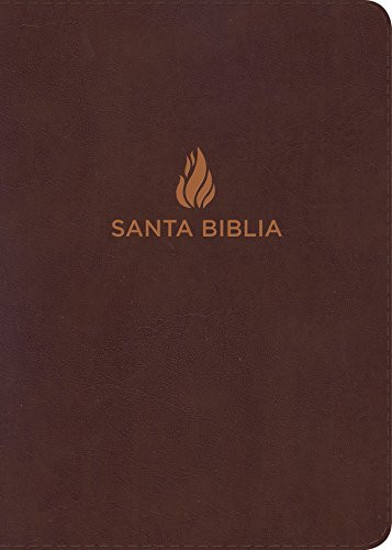 Biblia Reina Valera 1960 Tamano manual Letra grande