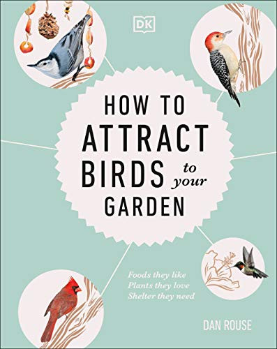 How to Attract Birds to Your Garden