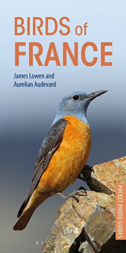 Birds of France (Pocket Photo Guides)
