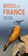 Birds of France (Pocket Photo Guides)